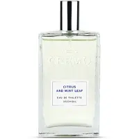 Cremo EDT agrumes et feuilles de menthe 100 ml
