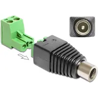 DeLOCK Adaptateur bloc terminal 2 broches -> DC 2,1 x 5,5mm Bu 2-