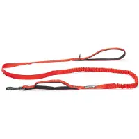 Beeztees Laisse Pour Chien Parinca Elastic