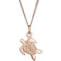 Elli Chaîne 'Schildkröte' or rose