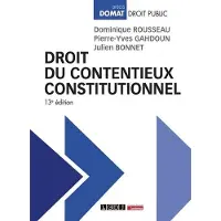 Lgdj Droit du contentieux constitutionnel