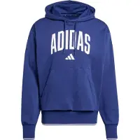 Adidas Collegiate Hoodie Bleu S / Regular Homme