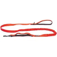 Beeztees Laisse Pour Chien Parinca Elastic