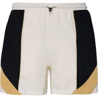Nike Pantalon de sport 'Strike' ivoire / cappuccino / noir