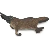 Collecta Ornithorynque sauvage 9cm