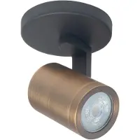 Highlight Spot monté en surface Halo Spot noir avec cuivre bronze simple