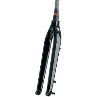 Skuad Full Carbon 15x100 Mm Mtb Fork Argenté 29´´ / Rigid
