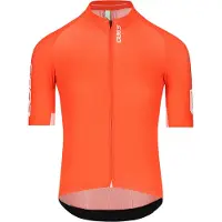 Q36.5 Maillot à Manches Courtes Gregarius Pro Signature