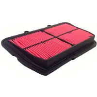 Champion Parts Caf5501 Air Filter Rouge
