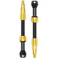 Lezyne Pro Tubeless 60 Mm Valves Doré