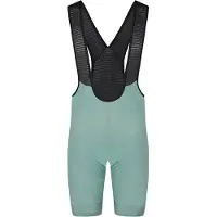 Bioracer Icon Seasonal Bib Shorts Vert L Homme