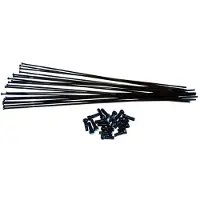 Vision Trimax 30 2016 Spokes And Nipples Kit 19 Units Argenté