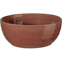 Asa selection Bol ASA Selection Poke Dragonfruit 18 cm