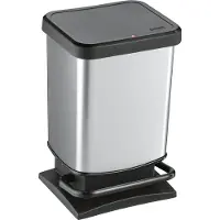 Rotho Treteimer "Paso", en plastique/métal, 20 litres, 29,3 x 26,6 x 45,7 cm, couleur argent