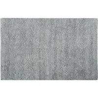 MSV Dalija (40 x 60 cm)