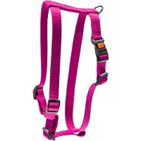 Karlie Les arts de la table : de nouvelles couleurs universelles Mix and Match (M, Chien, Promenade)