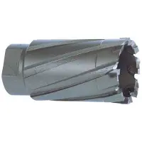 RUKO Carotteuse D.29mm HM L.50mm Prise de filetage