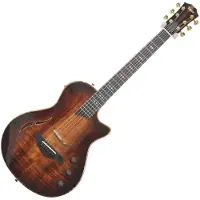 Taylor Guitars T5z Custom Koa Hawaiian Koa Top Shaded Edgeburst