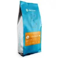 Lincoln Agneau avec riz Adult 12kg