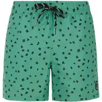 Protest Juan Swimming Shorts Vert 2XL Homme
