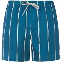 Protest Gonz Swimming Shorts Bleu M Homme