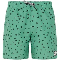 Protest Tyson Swimming Shorts Vert 164 cm Garçons