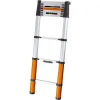 Batavia Giraffe Telescopic Ladder 2.93 M Argenté