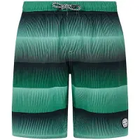 Protest Ray Swimming Shorts Vert 104 cm Garçons