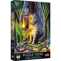 Trefl PUZZLE 1000 PremPlus Livre des Ombres 10899