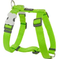Red Dingo Harnais pour chien souple 30-48 cm vert fluo