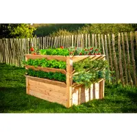 Westmann Premium XL : Plate-bande surélevée et jardin d'herbes en bois de larcin, dimensions 125 x 91 cm