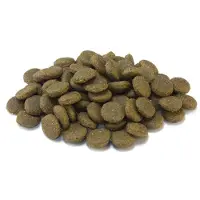 Arquivet Puppy Junior Maxi Chicken And Rice Dog Food Marron 12kg