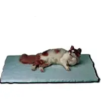 Kruuse Vet-bed 137x92 Cm Pet Bandage Beige