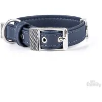 My Family Collier De Chien Bilbao