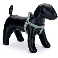 Designed By Lotte Virante Dog Harness Vert 60-100 cm x 25 mm