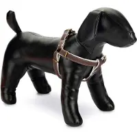 Designed By Lotte Harnais Pour Chien Virante