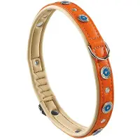Ferplast Collier De Chien Circus 20 Mm 44 Cm