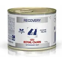 Royal Canin Boîte De Récupération Vétérinaire Snack Pour Chien 195g 12 Unités