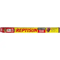 Zoo med Lampe Pour Terrarium Reptisun 10.0 Uvb