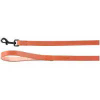 Flamingo Laisse Pour Chien Leano