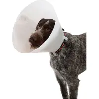 Kruuse Collier De Chien K273330 Elizabethan 10 Unités