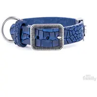 My Family Collier De Chien Tucson