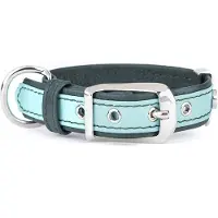 My Family Collier De Chien Firenze