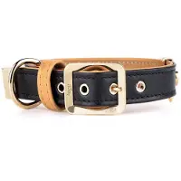 My Family Collier De Chien Hermitage