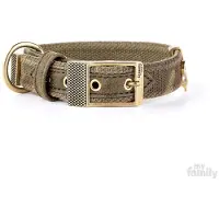 My Family Collier De Chien West Point