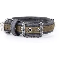 My Family Collier De Chien London