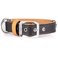 My Family Collier De Chien Hermitage