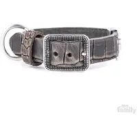 My Family Collier De Chien Tucson