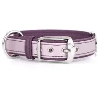My Family Collier De Chien Firenze