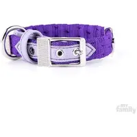 My Family Collier De Chien Milano